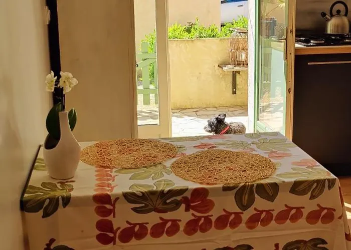 Sejour En Amoureux, Cocktail De Bienvenue Sur Notre Terrasse Provencale Hyeres